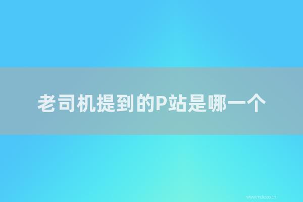 seo營銷:老司機(jī)提到的P站是哪一個(gè)?如何找到p站網(wǎng)站的入口?