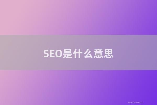 網站seo整站優化：SEO是怎樣意思？職業高手做SEO是如何掙錢的？