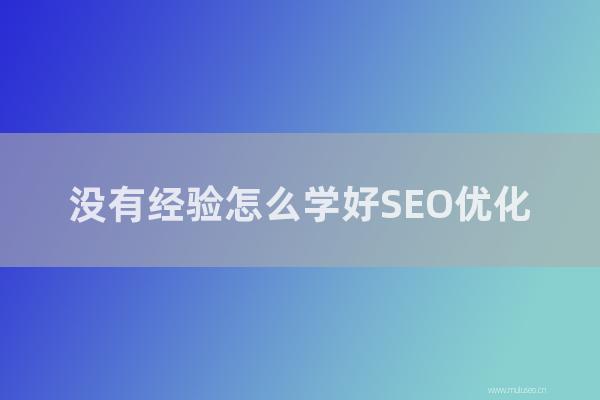 網(wǎng)站seo整站優(yōu)化：沒有經(jīng)驗如何學好SEO優(yōu)化？零基礎如何學習SEO？