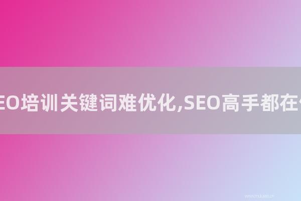 深圳seo博客:百度SEO培訓(xùn)關(guān)鍵詞難優(yōu)化,SEO高手都在做快排?
