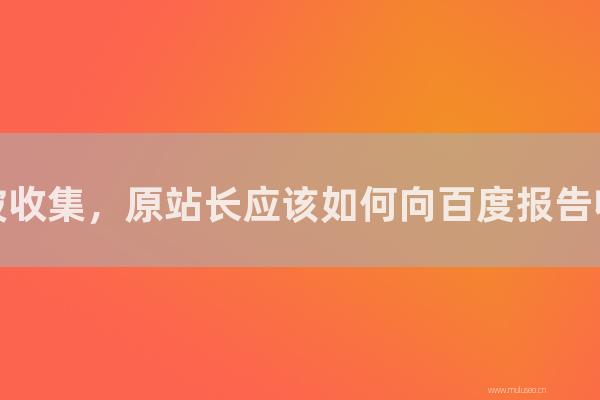 杭州seo博客:網站被采集,原站長應該如何向百度報告采集站?