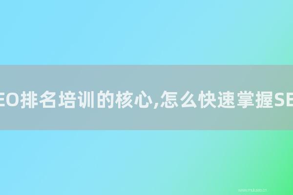深圳seo博客:百度SEO排名培訓(xùn)的核心,如何快速掌握SEO技術(shù)?