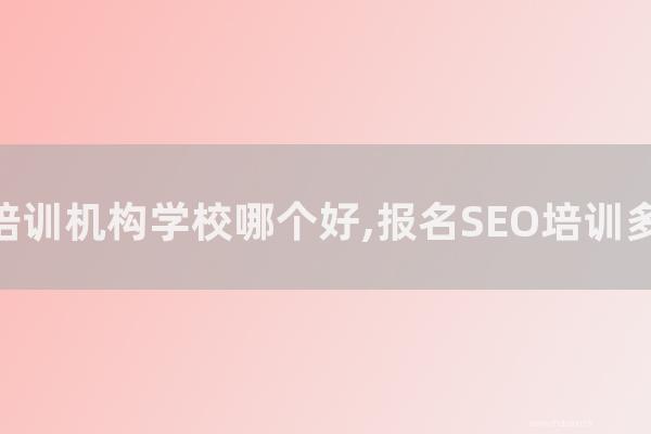 seo技術(shù)博客:SEO培訓(xùn)機(jī)構(gòu)學(xué)校哪個(gè)好,報(bào)名SEO培訓(xùn)多少錢?